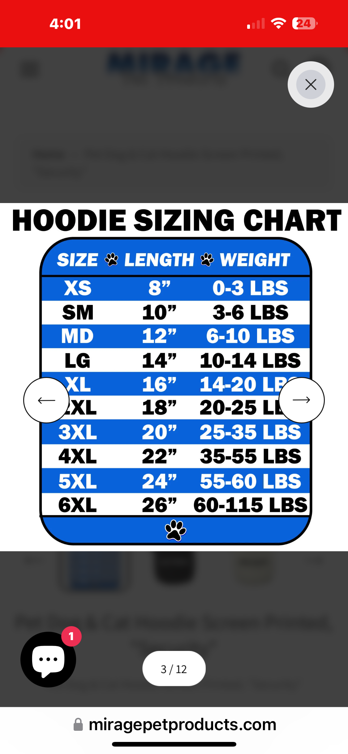 Hoodie