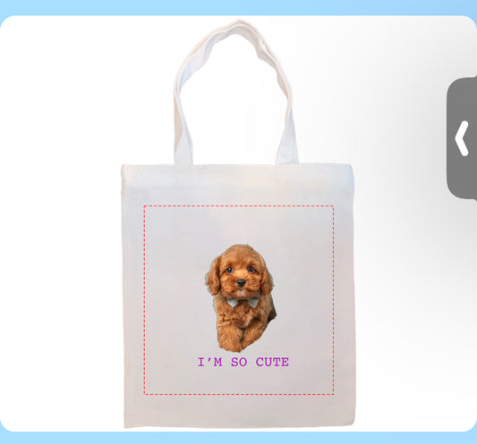 CUSTOMIZE WITH YOUR FUR BABY