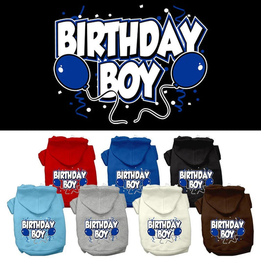 Birthday Boy Hoodie